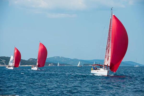 中考体育项目：报名步骤和详细流程